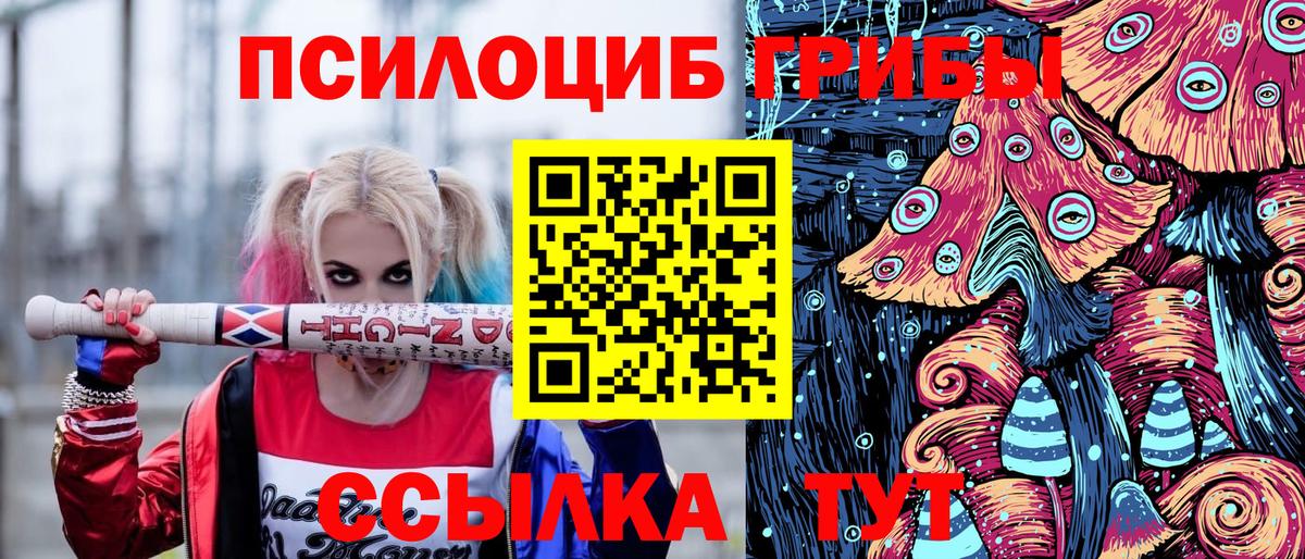 Галлюциногенные грибы Magic Shrooms  Псилоцибиновые грибы Psilocybine cubensis  Гатчина  купить   Вход с VPN 